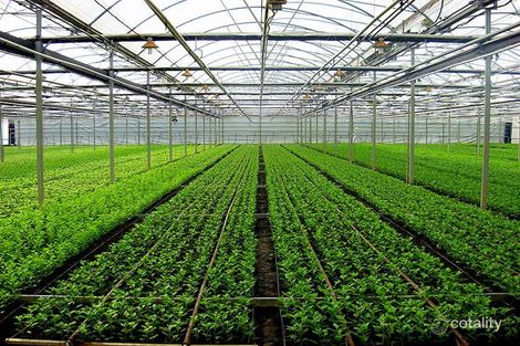 83 Burton Rd, Birdwood, SA 5234