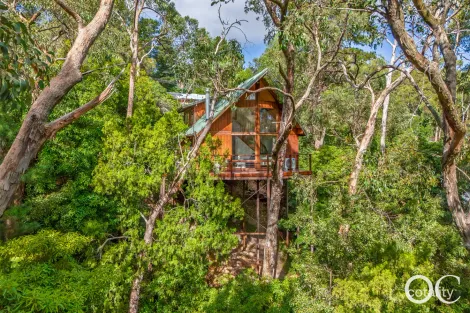 Property photo of 38 Whitewood Drive Upper Sturt SA 5156