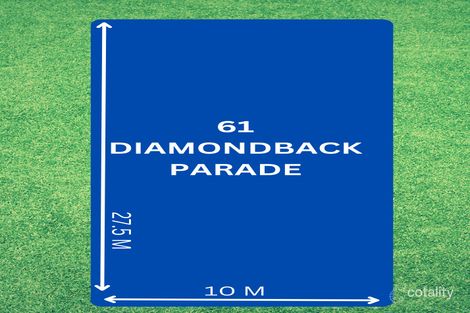 Property photo of 61 Diamondback Parade Melonba NSW 2765