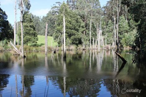 3950 Colac-Lavers Hill Rd, Weeaproinah, VIC 3237