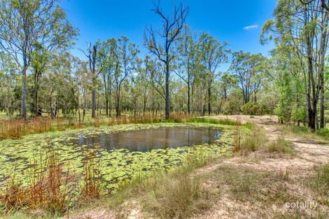 66-94 Tea Tree Ave, Mount Forbes, QLD 4340