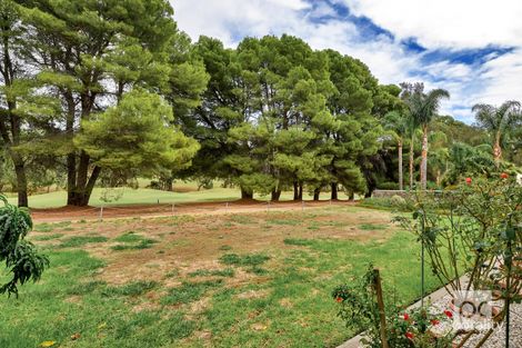 Property photo of 59 Ridgway Drive Flagstaff Hill SA 5159