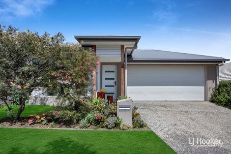 Property photo of 19 Botany Drive South Ripley QLD 4306