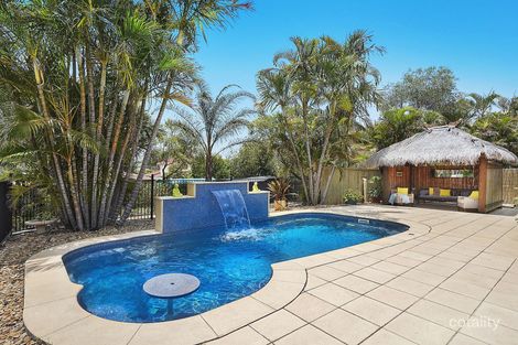 Property photo of 5 Camelia Street Springfield QLD 4300