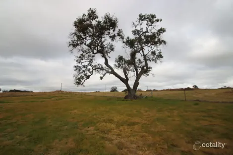 Property photo of 148B Sunnyside Loop Road Tenterfield NSW 2372