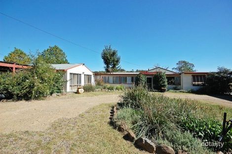 559 Castledoyle Rd, Armidale, NSW 2350