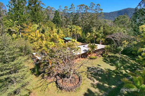 275 South Pumpenbil Rd, Pumpenbil, NSW 2484