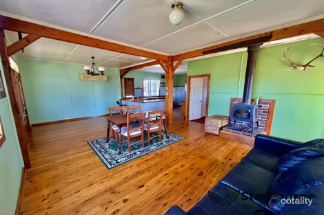 Property photo of 19 Phelhampton Crescent Jennings NSW 4383