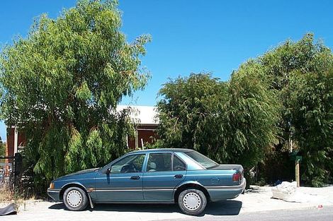 82 Whitfield Dr, Two Rocks, WA 6037