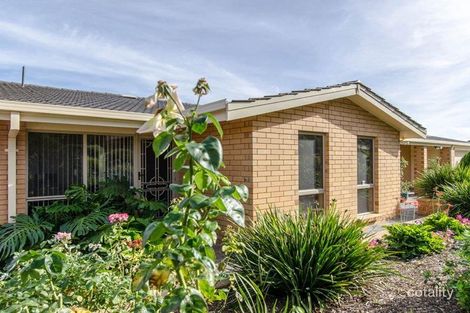 Property photo of 11 Darrell Avenue Wattle Park SA 5066