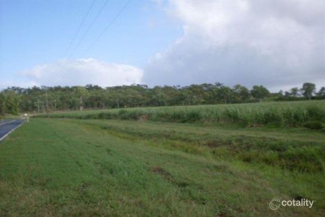 Property photo of 242 Mount Martin Loop Road Mirani QLD 4754