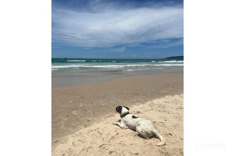 Property photo of 18 Hillside Drive Nimbin NSW 2480