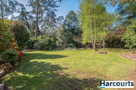 Property photo of 56 One Tree Hill Road Ferny Creek VIC 3786