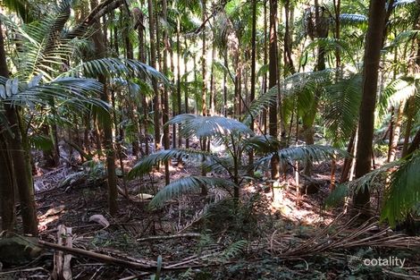 Property photo of 115 Cavendish Road Duroby NSW 2486