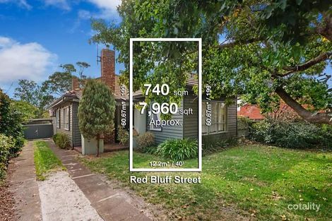 13 Red Bluff St, Black Rock, VIC 3193