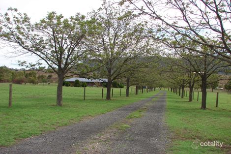 1290 Sandy Creek Rd, Mccullys Gap, NSW 2333