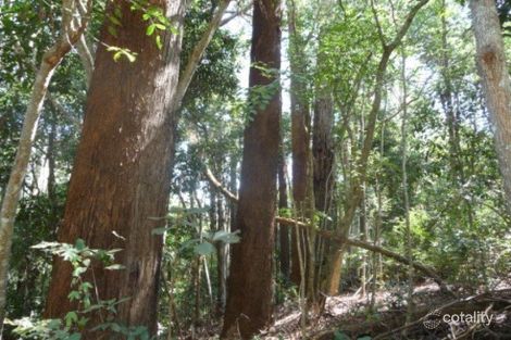 Property photo of 28 Wilkes Road Woombye QLD 4559