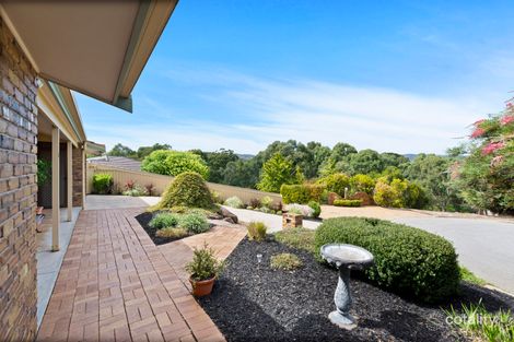 Property photo of 6 Vitana Court Modbury North SA 5092