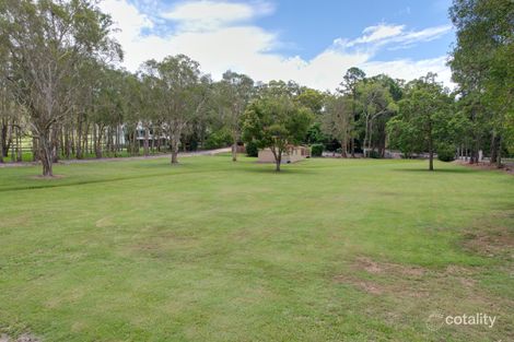 Property photo of 127 Warriewood Street Chandler QLD 4155