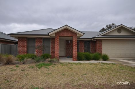 Property photo of 132 Whitebox Circuit Thurgoona NSW 2640