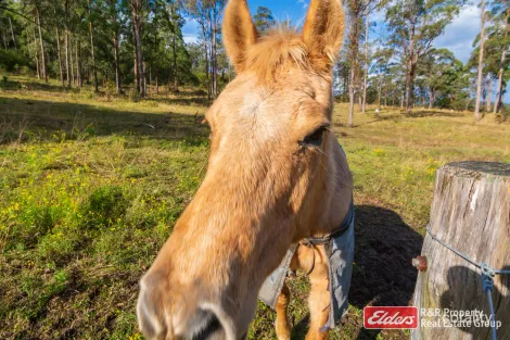 Property photo of 4 Bede Street Stroud NSW 2425