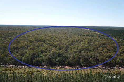 2/2 Tahiti Rd, Talegalla Weir, QLD 4650