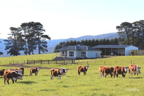 3155 Main Neerim Rd, Neerim Junction, VIC 3832