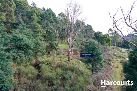 Property photo of 3 Mulhern Street Derby TAS 7264