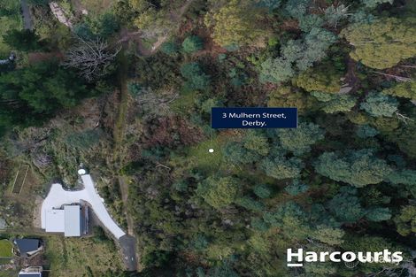 Property photo of 3 Mulhern Street Derby TAS 7264