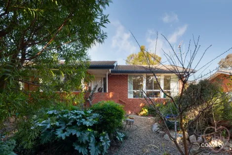 41 Mcinnes St, Weston, ACT 2611