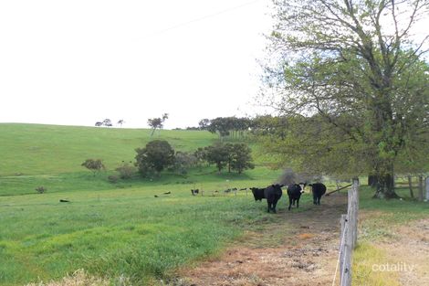 Property photo of 301 Ryall Road Upper Capel WA 6239