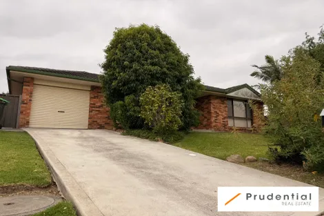 41 Goodsell St, Minto, NSW 2566