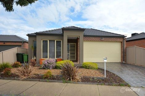 Property photo of 17 Healesville Loop Craigieburn VIC 3064