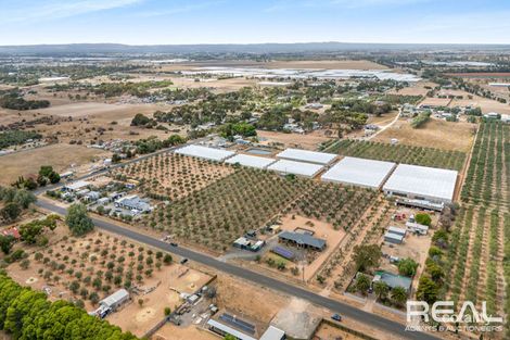 Property photo of 18 Artesian Road Two Wells SA 5501