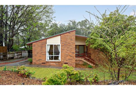 Property photo of 41 Hillside Crescent Glenbrook NSW 2773