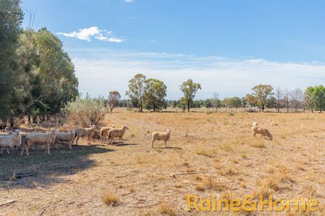 Property photo of 8L Cooreena Road Dubbo NSW 2830