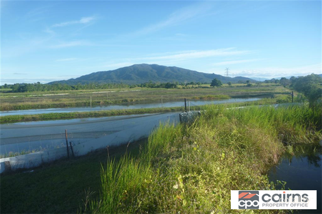 Property photo of 360 East Feluga Road East Feluga QLD 4854