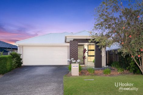 Property photo of 13 Centenary Court Warner QLD 4500