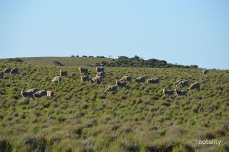 496 Allenby Downs Rd, Parrakie, SA 5301