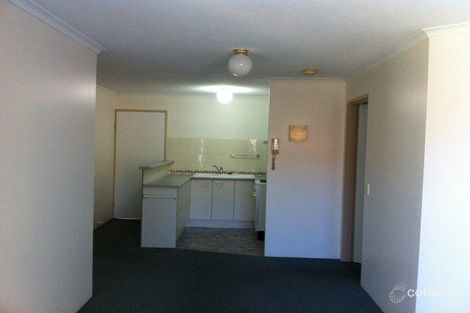 Property photo of 5/101 Dobson Street Ascot QLD 4007