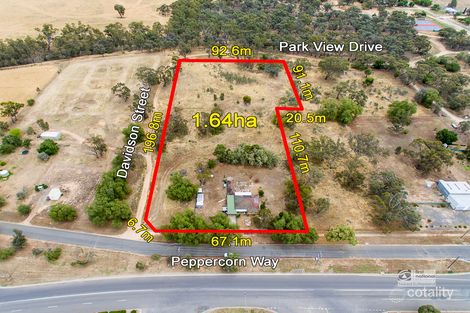 Property photo of 19 Peppercorn Way Serpentine VIC 3517