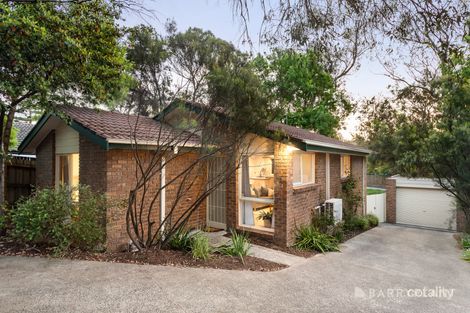 3/51 Greenhill Rd, Bayswater North, VIC 3153