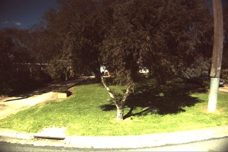 53 Presidents Ave, Ocean Grove, VIC 3226