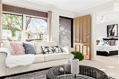 Property photo of 23 Halcyon Avenue Greenwith SA 5125