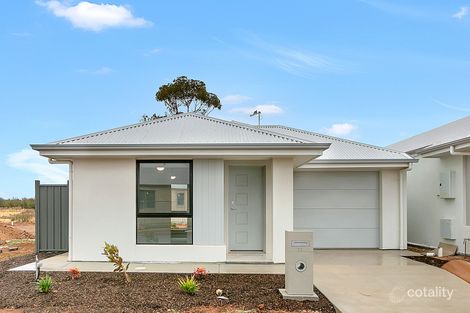 Property photo of 11 Barilla Avenue Munno Para Downs SA 5115