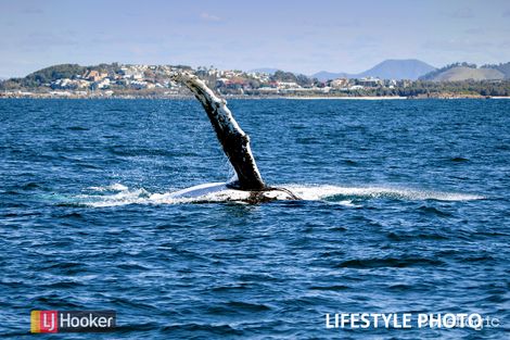 2/70 Boultwood St, Coffs Harbour, NSW 2450