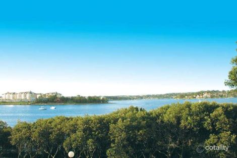 11/164e Burwood Rd, Concord, NSW 2137