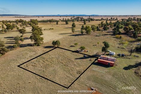 49 Boree St, Grong Grong, NSW 2652