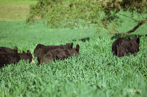 106 Harveys Rd, Deer Vale, NSW 2453