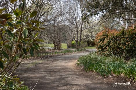 Property photo of 31 David Street Gundaroo NSW 2620